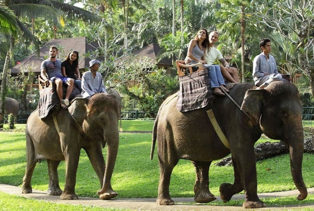 Elephant Village safari tour in Jaipur