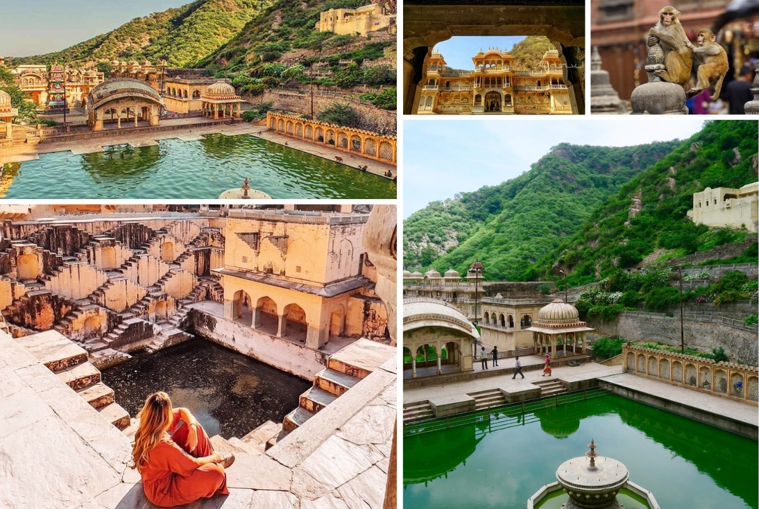 Luxury private Monkey Temple tour in Jaipur