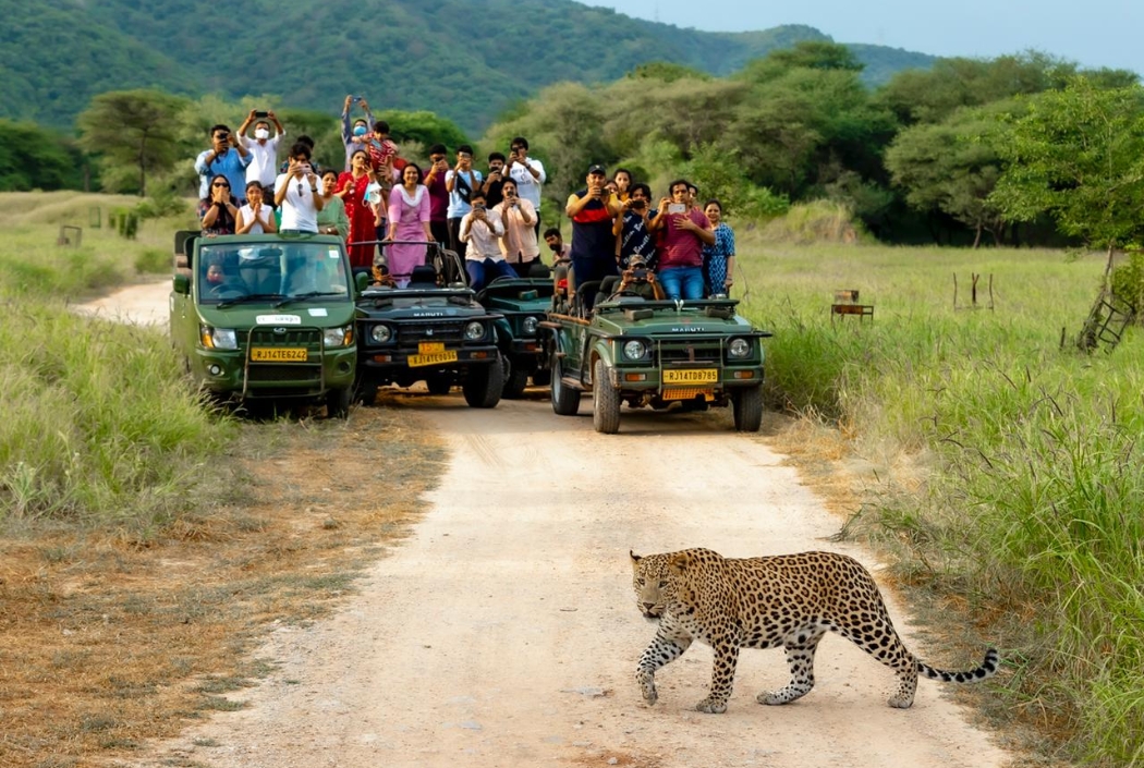 Jhalana leopard safari package tour from Jaipur